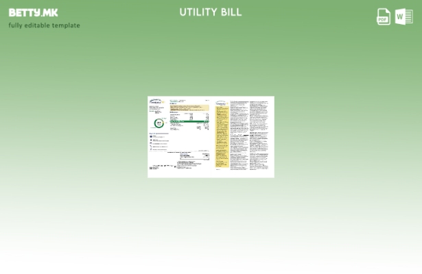 модерен стил САД Њу Јорк Централ Хадсон А фортис сметка за комунални услуги, шаб